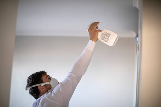 Best Office Mold Removal Services  in East Renton Highlands, WA