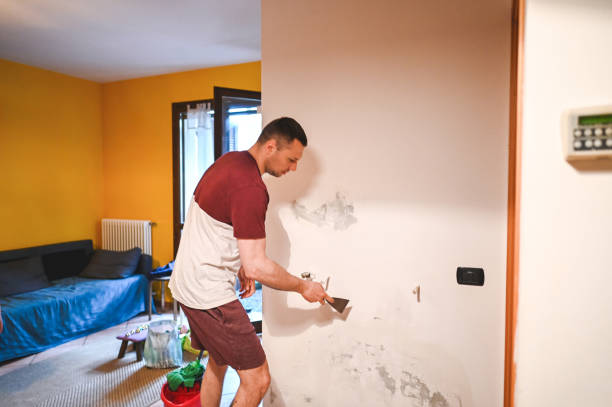 Best Local Mold Removal Service  in East Renton Highlands, WA